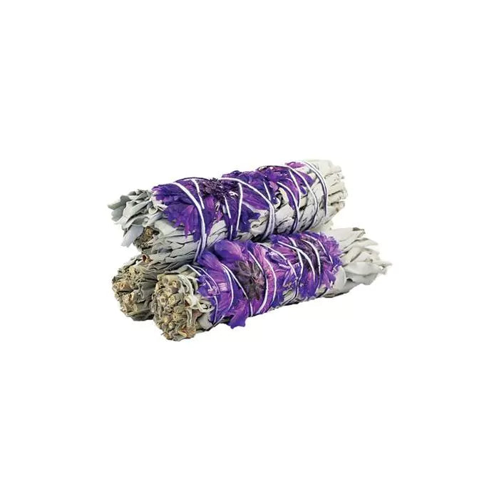 Purple Daze Sage 10cm (price per pc)